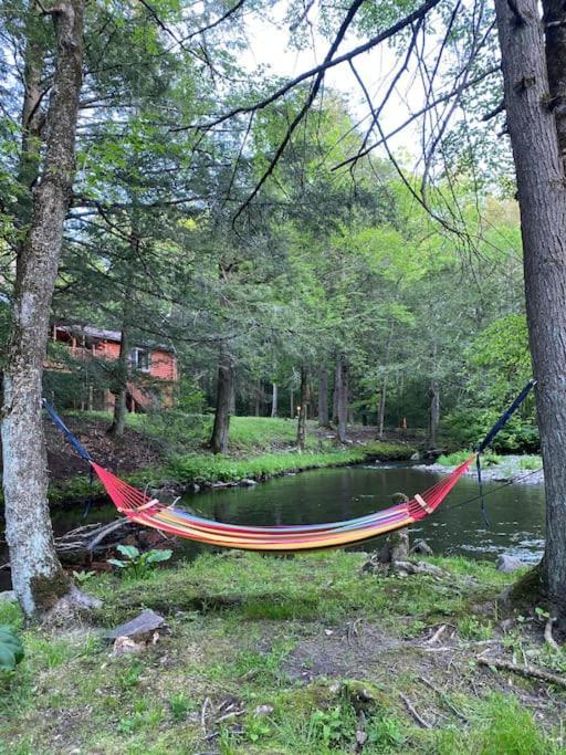 Peaceful Gateway To Island Creek Cottage 이스트스트로즈버그 외부 사진
